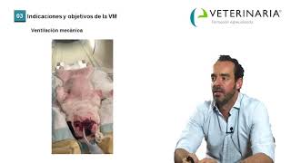 Ventilación mecánica en el paciente anestesiado