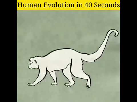 6 million years