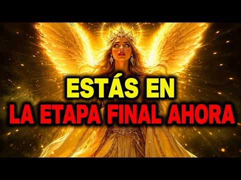 ELEGIDO, ESTOS SON LOS SIGNOS DE LA ETAPA FINAL DE TU DESPERTAR… ¡NO IGNORES!
