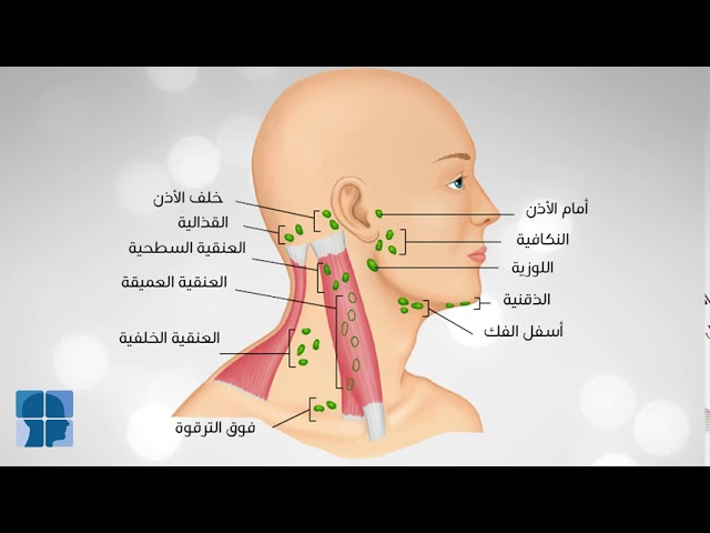 ما سبب تضخم الغدة الدرقية؟