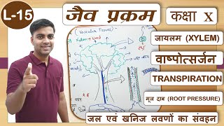 L-15 पादपों में जल एवं खनिज लवणों का परिवहन जायलम द्वारा | Trans. of Water & Minerals Plants | Xylem