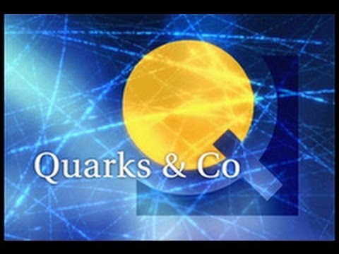 Quarks Und Co Pränataldiagnostik