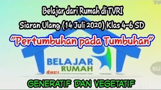 Belajar dari Rumah di TVRI (siaran ulang) 14 Juli 2020, SD kelas 4-6.