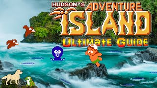 #AdventureIsland Adventure Island - NES - ULTIMATE GUIDE - ALL Rounds, ALL Pots, ALL Bonuses, 100% screenshot 2