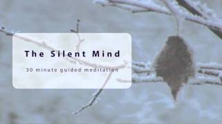 30 Minute Guided Meditation - The Silent Mind