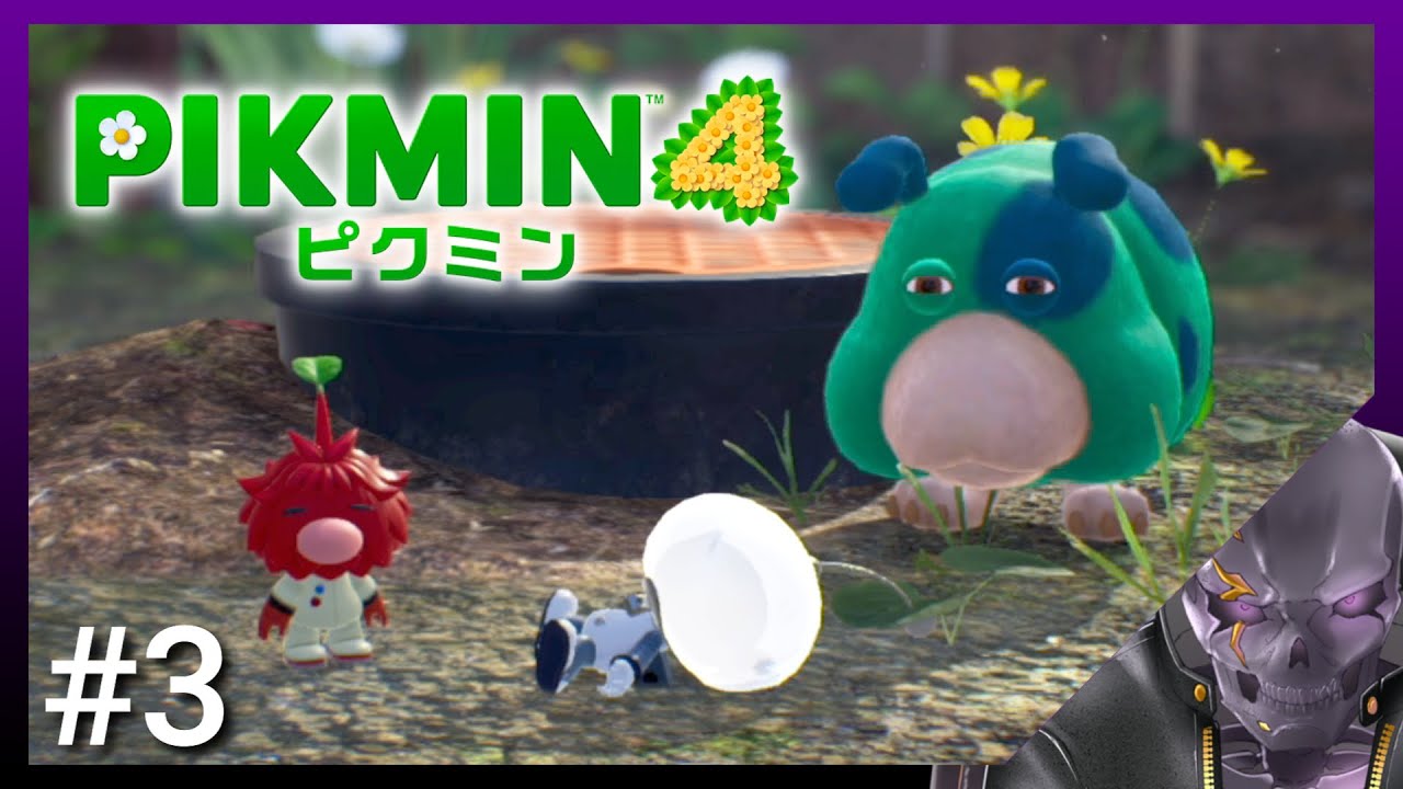ニンテンドースイッチ スプラトゥーン3 ピクミン4 バイオレット ポケモン ニンテンドースイッチ スプラトゥーン3 ピクミン4 バイオレット