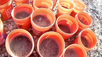 BoldrDash WinterDash 2019 – All Obstacles