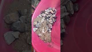 đãi.vàng #amongus #stones