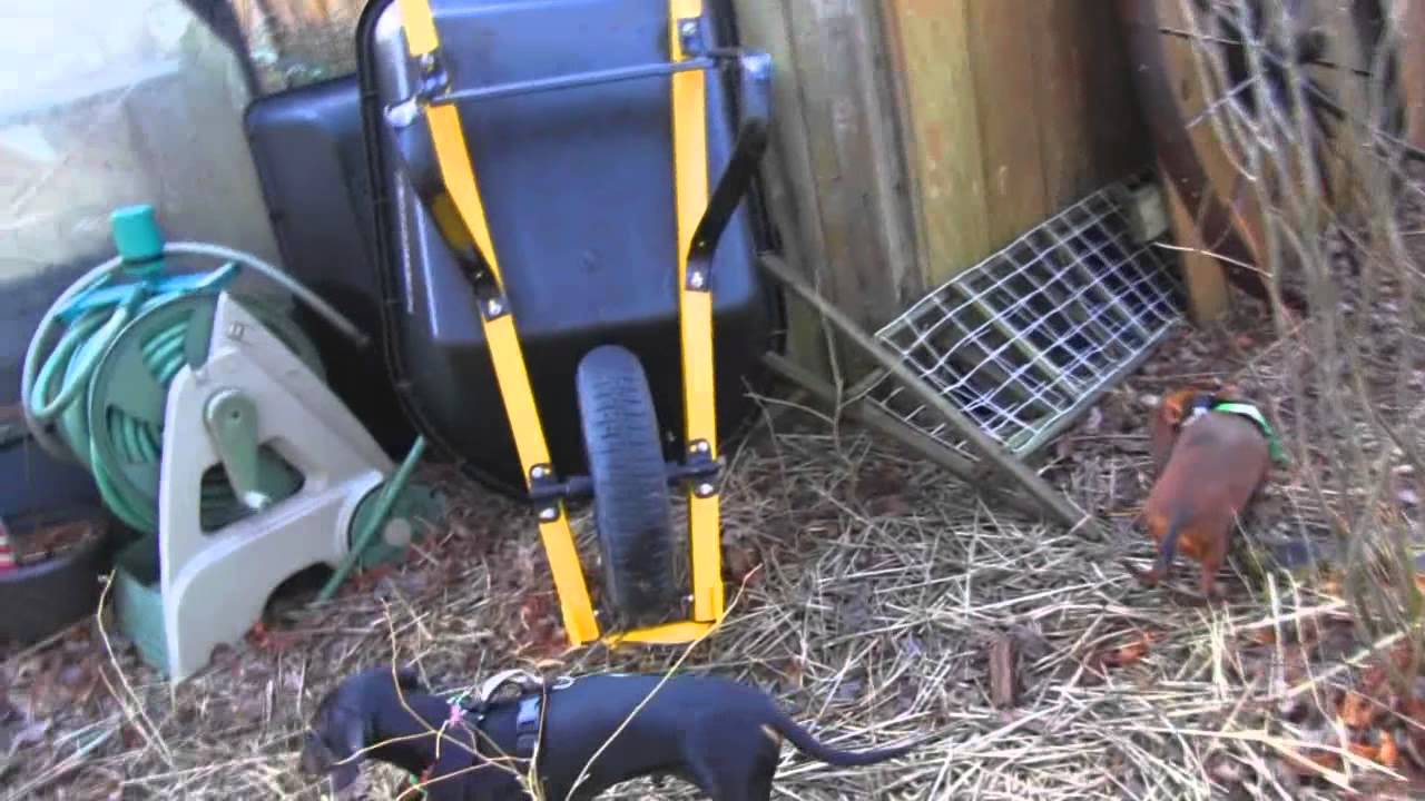 Marvin's Garden 2015 - March - YouTube