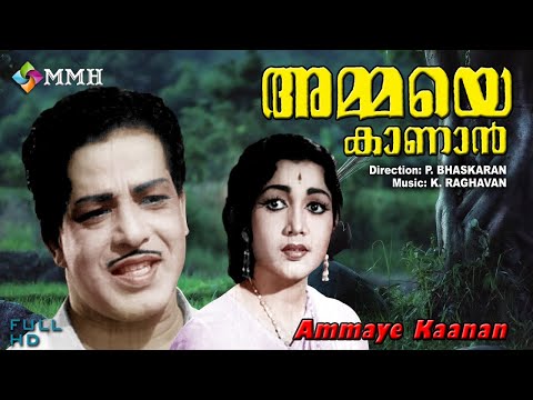 Malayalam Classic movie | Ammaye kanan | | ft: Sathyan | Madhu | Ambika others