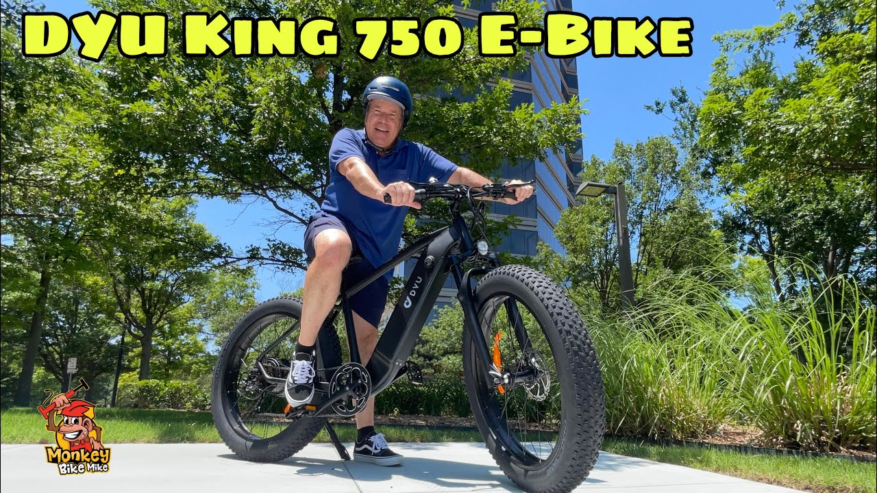 Bicicleta Eléctrica DYU King750