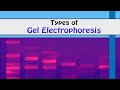 TYPES OF GEL ELECTROPHORESIS I Biotechnology