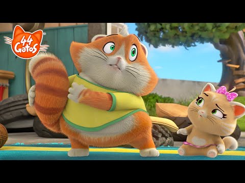 44 Gatos | Super Maratona com Pilou e Meatball!