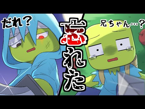 【アニメ】ゾン兄が記憶喪失になっちゃった・・・！？【マインクラフト/まいくら/Minecraft】