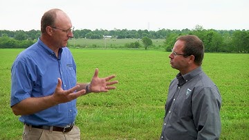 Makin’ Hay Minute: High-Moisture Forage Advantages