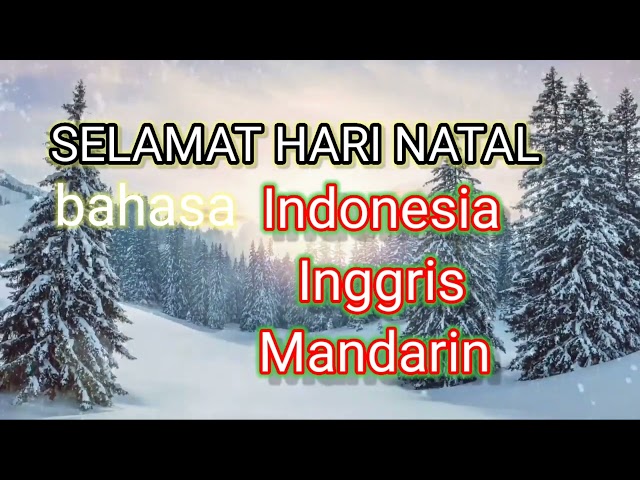 Selamat hari natal versi Indonesia,Inggris,Mandarin || lagu natal bahasa cina. class=