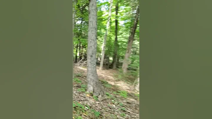 Bigfoot sighting in Ellison Bay, Wisconsin.