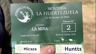 Monteria en Huertezuela con “Cinegética los Barrancos y Mi Caza “
