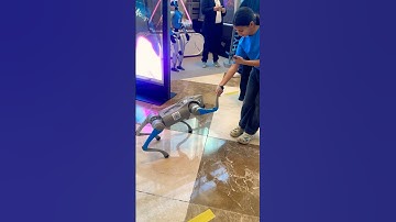 🤖🐕 Robotic Dog Steals 😱 the Show #robot #dog #technology #trending #shorts #latest #dubai #tech