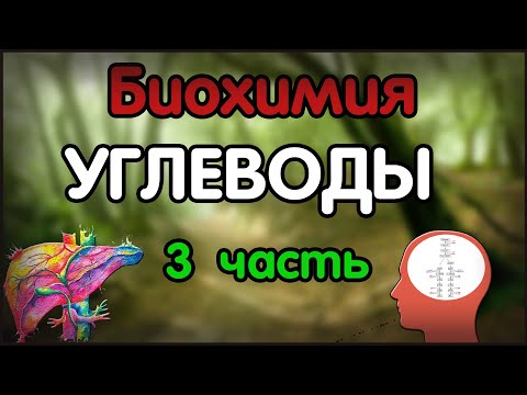 Биохимия. Лекция 49. Углеводы. Гликолиз. Челночные системы. Обезвреживание этанола.