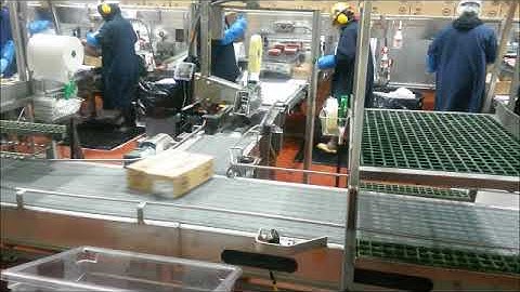 Box Sorting Conveyor