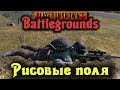 Покорители рисовых полей - PlayerUnknown's Battlegrounds