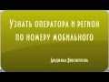 Определить оператора по мобильному и регион