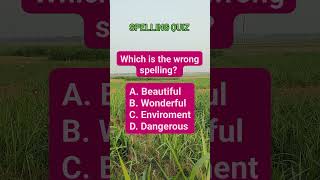 which is the wrong spelling? #quiz #fun #trivia #brainteaser #shorts #usa #uk #canada