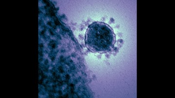 COVID-19, Hydroxychloroquine, and the Death of Evidence-Based Medicine