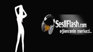 SesliFlash – Barış Manço Domates Biber Patlıcan Mega Mix Resimi