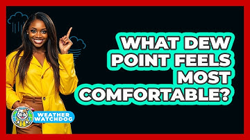 What Dew Point Feels Most Comfortable? - Weather Watchdog