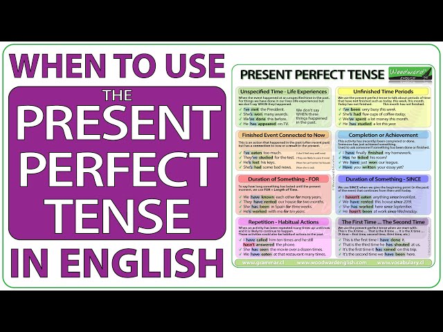 Present perfect to introduce life experiences - English Coach Online