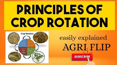 Principles of crop rotation briefly explained