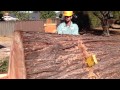 AWESOME Big Redwood Removal and Mill Job