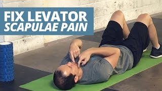 3 Reasons You Have LEVATOR SCAPULAE Pain (and how to fix it)