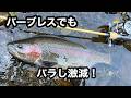 【渓流ベイトフィネス】 バラシ激減 裏ワザラインセッティング