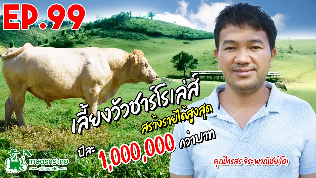 งาน เสริม สร้าง ราย ได้  2022 Update  วิศวกรเครื่องกล ทำฟาร์มวัวเป็นอาชีพเสริม สร้างรายได้ 1,000,000 ต่อปี l Ep99 เกษตรกรไทย สร้างรายได้