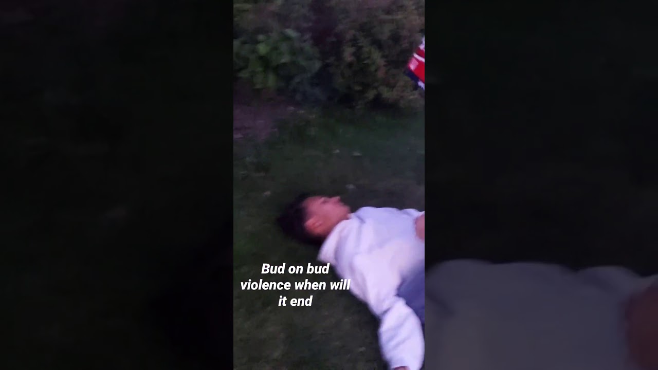 "But what about Bud on Bud violence?"