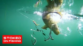 Spotted Bay Bass Fishing in Mission Bay | Stoked On Fishing  Full Episode |