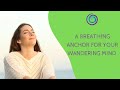 A breathing anchor for your wandering mind  77  the silva method ireland