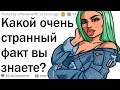 Какой странный факт вы знаете?