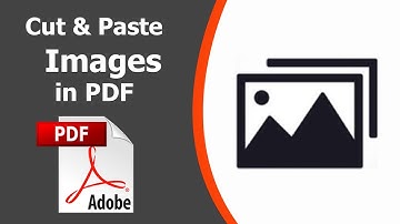 How to cut and paste images from a PDF using Adobe Acrobat Pro DC 2022