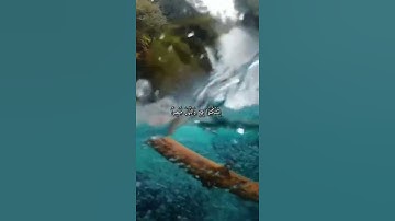 هو الذي جعل لكم الليل لتسكنوا فيه والنهار مبصرا       ❤القارئ  رعد الكردي(سورة يونس/الآية 67