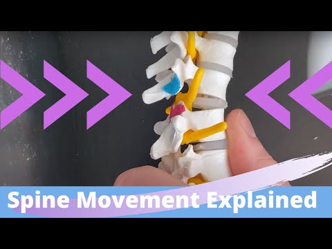 Kinesiology of the Spine | Flexion, Extension, Side-bending & Rotation Arthrokinematics
