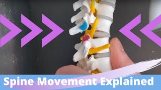 Kinesiology of the Spine | Flexion, Extension, Side-bending & Rotation Arthrokinematics