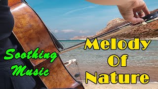 Melody of Nature, Enjoy the Beautiful Soothing Music By ZNS PEACEFUL LIFE and Subscribe, Like, share