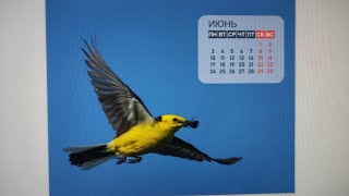 Наградной фонд - эксклюзивные календари на 2024 год с природной тематикой фотографий.