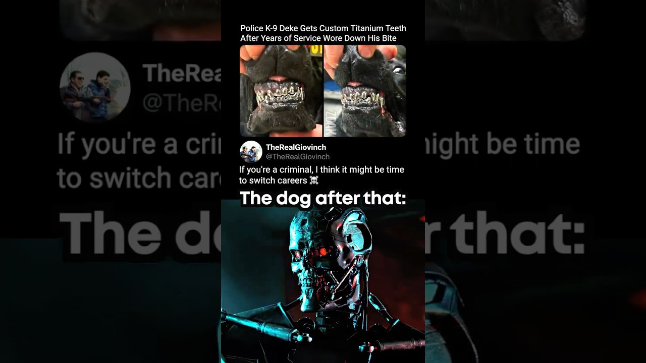 Doggo got an upgrade ☠️🦷