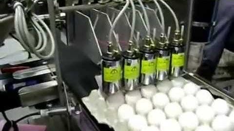 Printing & Branding on Eggs. Maplejet ProDigit EggsPrint