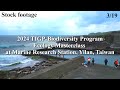 2024 TIGP-Biodiversity ProgramEcology Masterclass: Stock footage 3/19